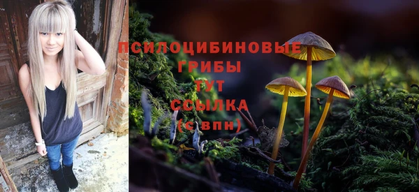 мдма Приозерск