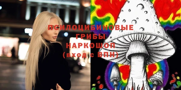 стафф Алексин