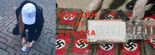стафф Алексин